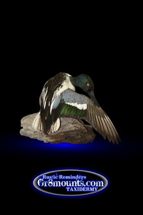 IMG_7280.png