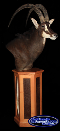 sable2.png